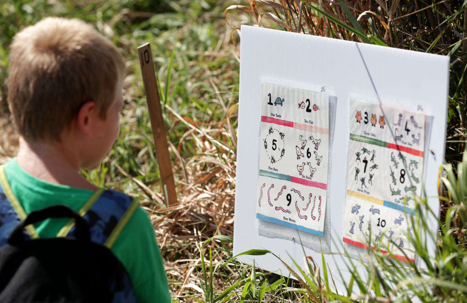StoryWalk